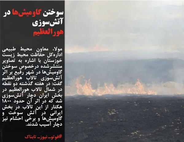 مولا، معاون محیط طبیعی اداره&zwnj;کل حفاظت محیط زیست خوزستان با اشاره به تصاویر منتشرشده درخصوص سوختن گاومیش&zwnj;ها در شهر رفیع بر اثر آتش&zwnj;سوزی تالاب هورالعظیم گفت: در هفته گذشته دو نقطه در شمال تالاب هورالعظیم در بخش ایران دچار آتش&zwnj;سوزی شد که در اثر آن حدود 1800 هکتار از این تالاب در بخش ایرانی در آتش سوخت و گاومیش&zwnj;ها و برخی احشام نیز دچار آسیب شدند.
