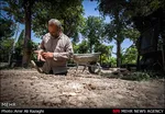 تابناک