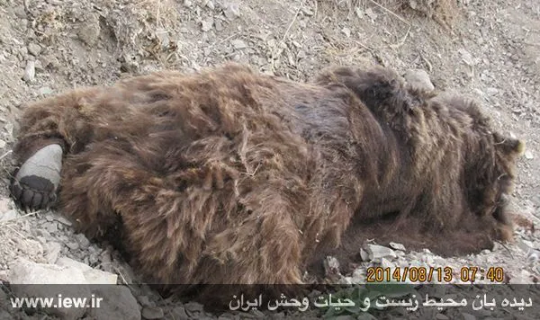 تابناک