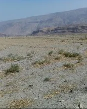 آشنایی با مفهوم حقوقی اراضی موات و قوانین مرتبط با آن