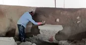خطر نابودی نقاشی ۱۷۰۰ ساله