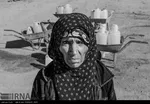 تابناک