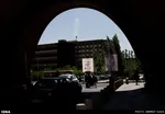 م