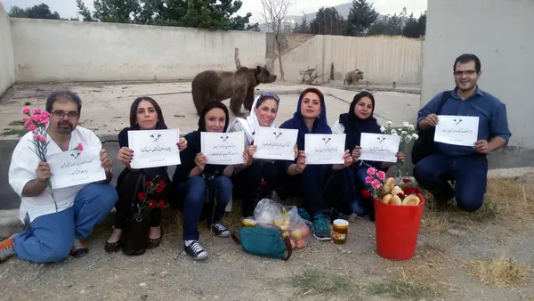 کارگروه حذف حیوانات از سیرکها ساعتی پس از انتقال خرس سیرک پرشین به پردیسان؛ خرسی که دندانهایش را در سیرک با سیم چین بریده بودند!