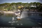 تابناک