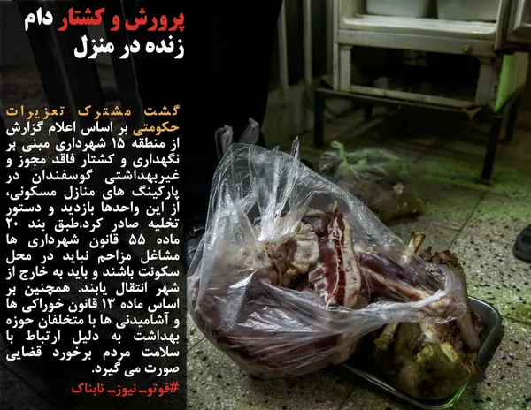 گشت مشترک تعزیرات حکومتی بر اساس اعلام گزارش از منطقه ١5 شهرداری مبنی بر نگهداری و کشتار فاقد مجوز و غیربهداشتی گوسفندان در پارکینگ های منازل مسکونی، از این واحدها بازدید و دستور تخلیه صادر کرد.طبق بند ٢٠ ماده 55 قانون شهرداری ها مشاغل مزاحم نباید در محل سکونت باشند و باید به خارج از شهر انتقال یابند. همچنین بر اساس ماده ١٣ قانون خوراکی ها و آشامیدنی ها با متخلفان حوزه بهداشت به دلیل ارتباط با سلامت مردم برخورد قضایی صورت می گیرد.
