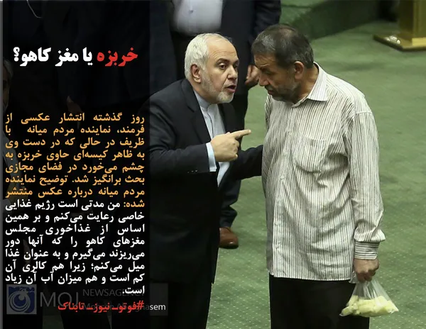 روز گذشته انتشار عکسی از فرمند، نماینده مردم میانه  با ظریف در حالی که در دست وی به ظاهر کیسه&zwnj;ای حاوی خربزه به چشم می&zwnj;خورد در فضای مجازی بحث برانگیز شد. توضیح نماینده مردم میانه درباره عکس منتشر شده: من مدتی است رژیم غذایی خاصی رعایت می&zwnj;کنم و بر همین اساس از غذاخوری مجلس مغزهای کاهو را که آنها دور می&zwnj;ریزند می&zwnj;گیرم و به عنوان غذا میل می&zwnj;کنم؛ زیرا هم کالری آن کم است و هم میزان آب آن زیاد است.
