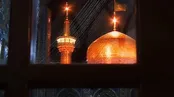 امید دل ؛ سید رضا نریمانی
