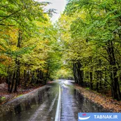 عکس: پاییز به روایت آب‌پری