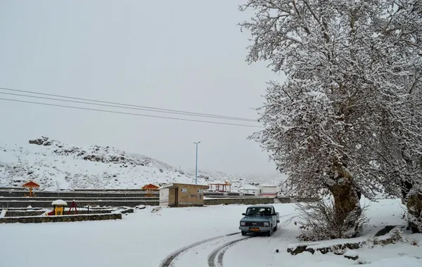 بارش برف در میامی