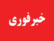 بلیت رایگان سینما شامل چه کسانی می‌شود؟