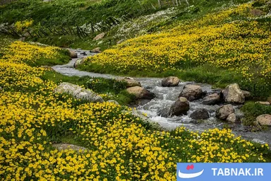 عکس: جاده‌ای میان دو اقلیم