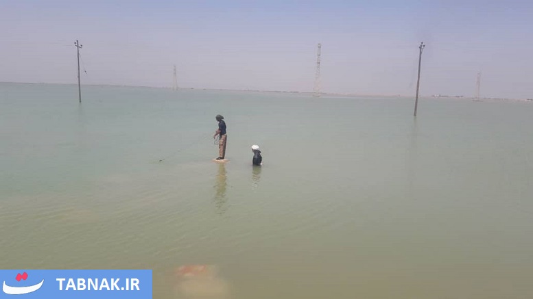 ماهیگیری
