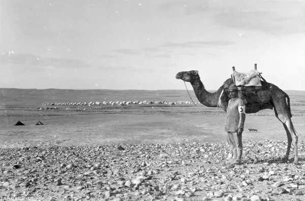 در تصویر یک امداد&zwnj;رسان با شتر در صحرا دیده می&zwnj;شود.