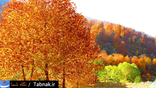 کلاردشت - رودبارک
12 آبان 91