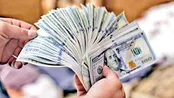 نرخ حواله دلار و یورو امروز چقدر است؟