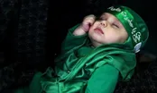 مراسم شیرخوارگان حسینی در حرم مطهر رضوی برگزار شد