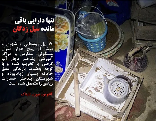 ۱۷ پل روستایی و شهری و بیش از پنج هزار منزل مسکونی، مدارس و مراکز آموزشی پلدختر دچار آب گرفتی یا تخریب شده و با توجه به&zwnj;شدت بارندگی عمق حادثه بسیار زیادبوده و شهرستان پلدختر خسارات زیادی را متحمل شده است.
