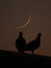 عکس: تصویری از هلال ماه صفر