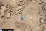 تابناک