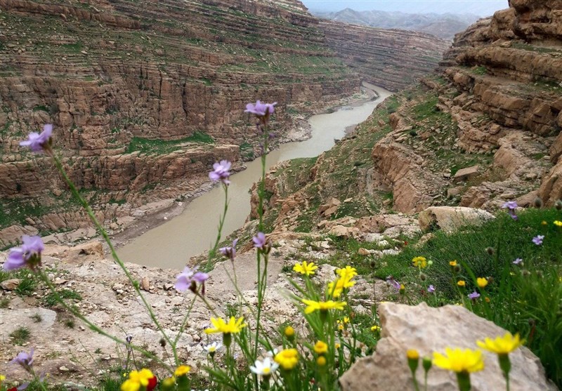 تابناک