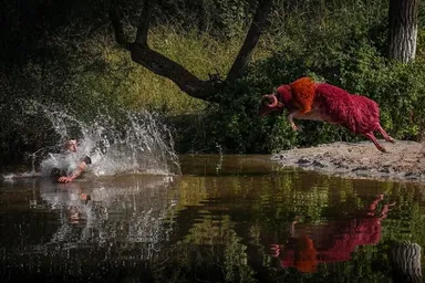 عکس: جشنواره سنتی گوسفندان