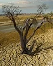 بپذیریم جغرافیای ایران به سمت خشک‌تر شدن حرکت می‌کند/ چرا در عربستان برف می‌بارد، اما در ایران خیر؟