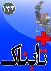 کمپین خودرو شکست خورد اما به قیمت 2000 میلیارد! / انگشترهای سیاسیون از اینجا می‌آید: از رهبر انقلاب تا سیدحسن نصرالله