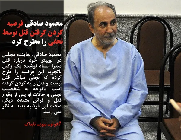 محمود صادقی، نماینده مجلس در توییتر خود درباره قتل میترا استاد نوشت: یک وکیل باتجربه این فرضیه را طرح کرده که نجفی مباشر قتل نیست و قتل را به گردن گرفته است. باتوجه به شخصیت نجفی و حالات او پس از وقوع قتل و قرائن متعدد دیگر، صحت این فرضیه بعید به نظر نمی رسد.
