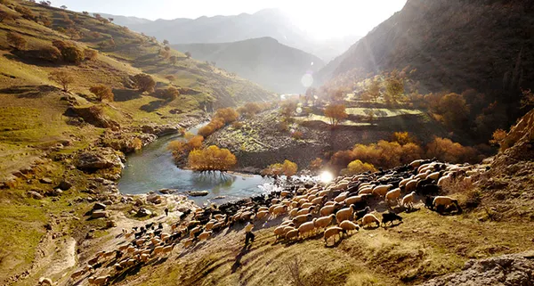 چوپان های دره تنگیور در کردستان
Amos Chapple
