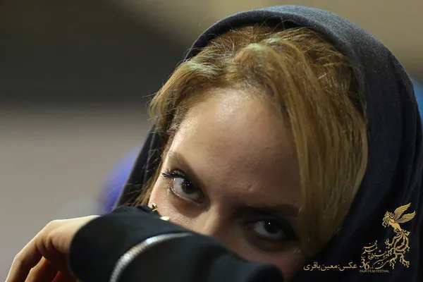 دارکوب