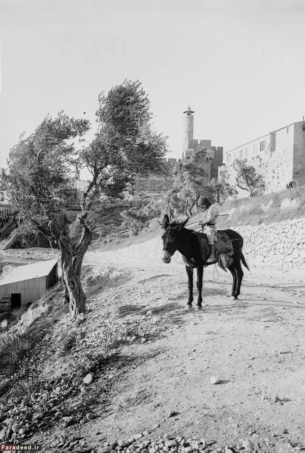 نمایی از داخل شهر بیت&zwnj;المقدس