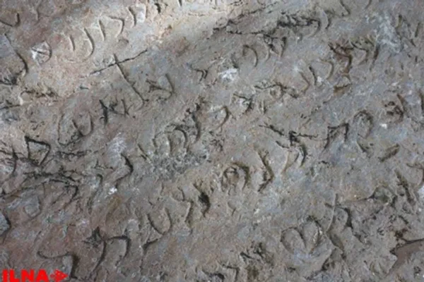 تابناک