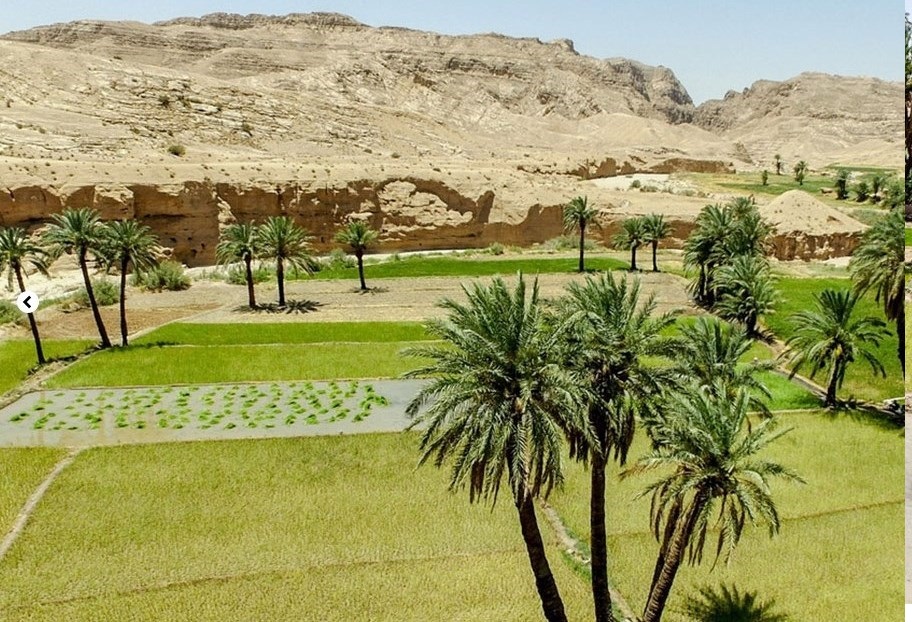سه