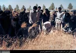 تابناک