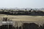 تابناک.