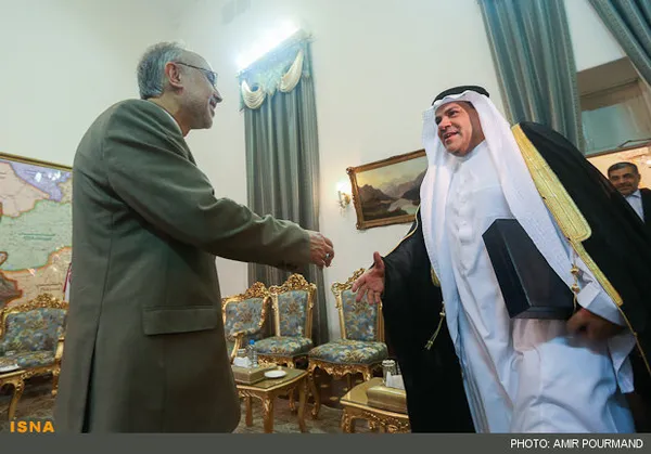 دیدار سفیر عربستان در تهران با دکتر صالحی وزیر خارجه
