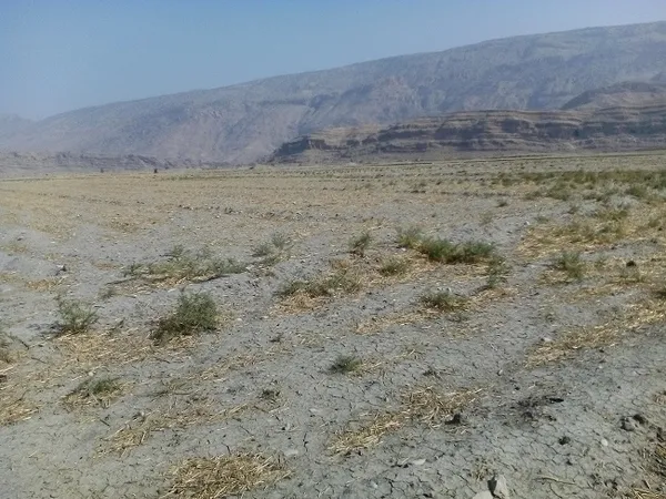 خشکسالی