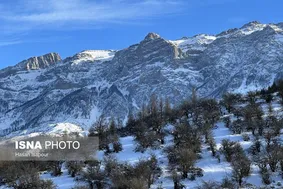 عکس | جنگل هیرکانی در آغوش زمستان