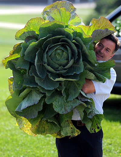 Giant Vegtables