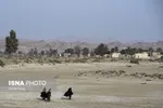 تابناک.