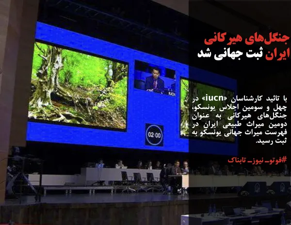 با تائید کارشناسان &laquo;iucn&raquo; در چهل و سومین اجلاس یونسکو، جنگل&zwnj;های هیرکانی به عنوان دومین میراث طبیعی ایران در فهرست میراث جهانی یونسکو به ثبت رسید.
