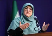 واکنش سخنگوی دولت به اتصال اینترنت بین‌الملل