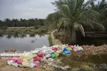 تابناک