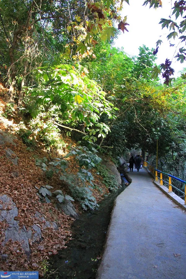 طبیعت پاییزی در دومین ماه این فصل