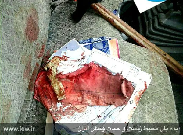 تابناک
