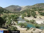تابناک