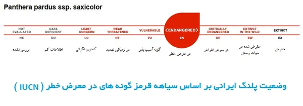 از هفت سال قبل که این سیاهه به روز رسانی نشده تا کنون، اینقدر پلنگ ایرانی کشته شده که مطمئن نباشیم وضعیت امروز آن شباهتی به این نمودار دارد یا خیر؟