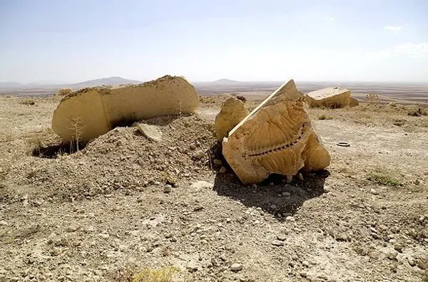 فسیل گاو آبی در جریان بهره&zwnj;برداری از معدنی در جوار شهر شیرین سو شهرستان کبودرآهنگ در ۲۰۰ متری شهر و پشت تالاب شیرین سو یافت شده است./FNA
