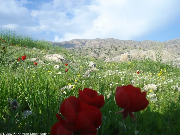 دشت اطراف دریاچه سیاه گاو